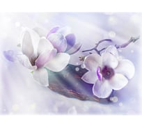 Фотообои DIVINO Цветки магнолии, 200x147 T-267