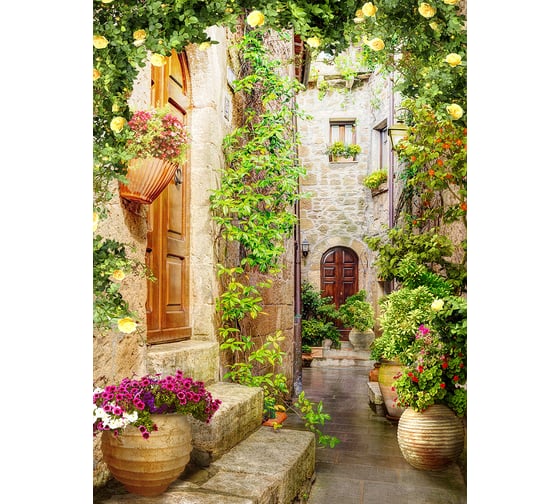 Фотообои DIVINO Италия, 200x270 см T-119 1