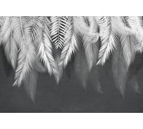 Фотообои DIVINO Листья на темном фоне 2, 400x270 см T-301