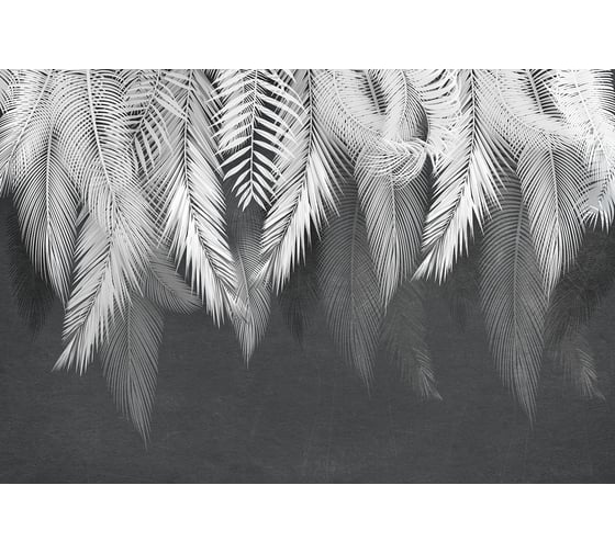 Фотообои DIVINO Листья на темном фоне 2, 400x270 см T-301 1