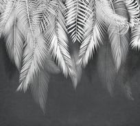 Фотообои DIVINO Листья на темном фоне, 300x270 см T-300