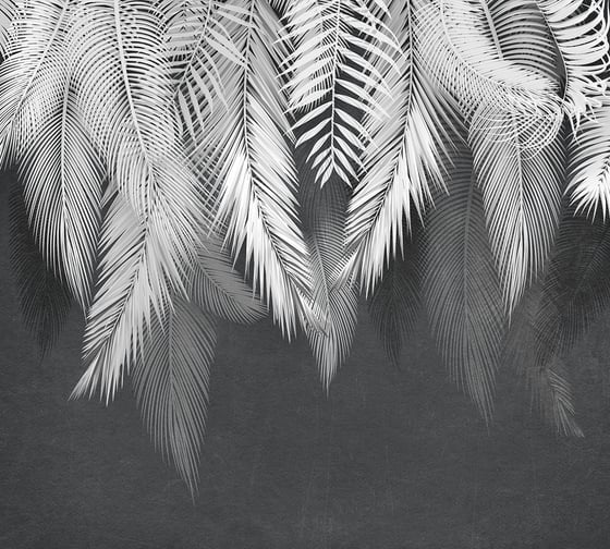 Фотообои DIVINO Листья на темном фоне, 300x270 см T-300 1
