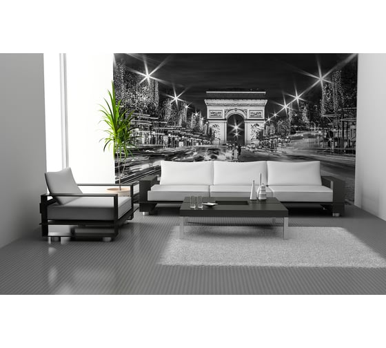 Фотообои DIVINO Триумфальная арка 300x238 см C-390