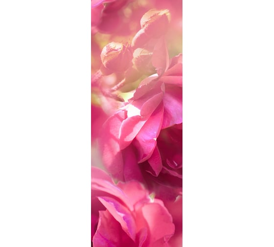 Фотообои DIVINO Розовые цветы 100x270 см C-396