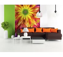 Фотообои DIVINO Буйство красок 200x270 см C-181