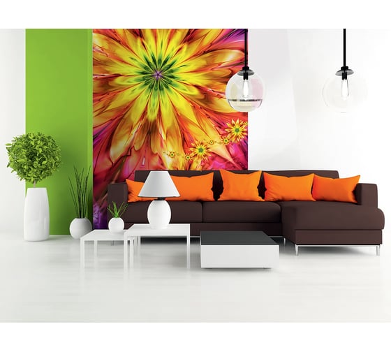 Фотообои DIVINO Буйство красок 200x270 см C-181