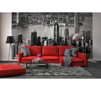 Фотообои DIVINO Гонконг 300x238 см C-388