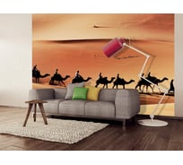 Фотообои DIVINO Пустыня 300x270 см C-171