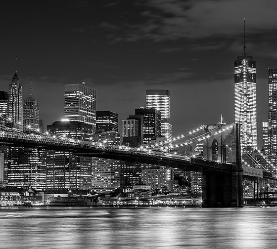 Фотообои DIVINO Вид на мост 300x270 см C-160