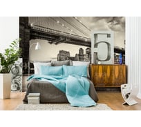 Фотообои DIVINO Вид на другой берег 300x270 см C-159