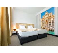Фотообои DIVINO Фонтан Треви 200x270 см C-229