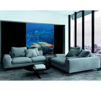 Фотообои DIVINO Морская черепаха 200x270 см C-211