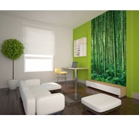 Фотообои DIVINO Заросли бамбука 200x270 см C-215