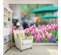 Фотообои DIVINO Клумба 300x238 см C-381
