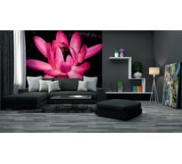 Фотообои DIVINO Кувшинка 300x238 см C-382