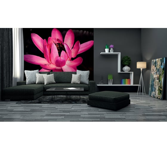 Фотообои DIVINO Кувшинка 300x238 см C-382 1