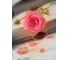 Фотообои DIVINO Роза винтаж 200x270 см C-246 2