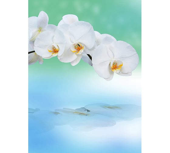 Фотообои DIVINO Орхидея с отражением 200x270 см C-245