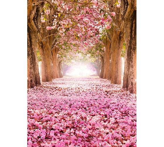 Фотообои DIVINO Цветущая вишня 200x270 см C-249
