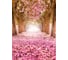 Фотообои DIVINO Цветущая вишня 200x270 см C-249 2
