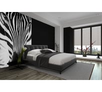 Фотообои DIVINO Полоски 200x270 см C-254
