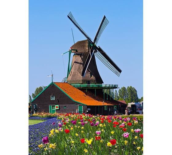 Фотообои DIVINO Мельница 200x270 см C-243