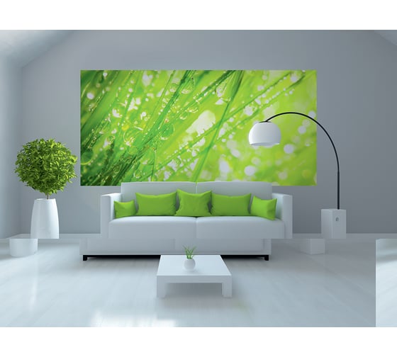 Фотообои DIVINO Трава макро 300x147 см C-349 1
