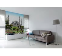 Фотообои DIVINO Стамбул Голубая мечеть 200x270 см C-200