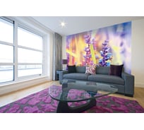 Фотообои DIVINO Радужные цветы 300x270 см C-151