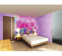 Фотообои DIVINO Тюльпаны 300x270 см C-153
