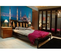 Фотообои DIVINO Стамбул Голубая мечеть 300x147 см C-339