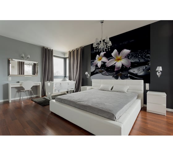 Фотообои DIVINO Плюмерия на камнях 200x147 см C-324