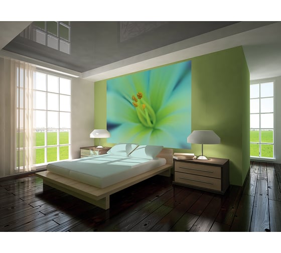 Фотообои DIVINO Волшебный цветок 200x147 см C-315 1