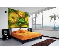 Фотообои DIVINO Желтые цветы 200x147 см C-316