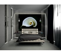 Фотообои DIVINO Калла 200x147 см C-317