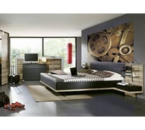 Фотообои DIVINO Механизм 200x147 см C-310