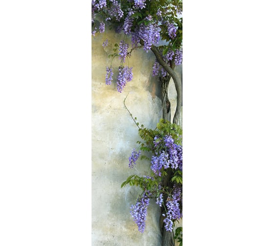 Фотообои DIVINO Цветы на стене 100x270 см C-292