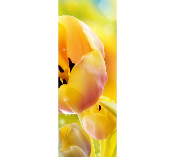 Фотообои DIVINO Желтые тюльпаны 100x270 см C-287