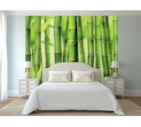 Фотообои DIVINO Бамбук 300x270 см C-098