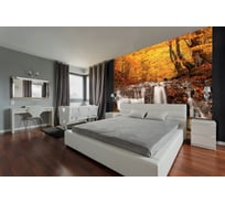 Фотообои DIVINO Осенний лес 300x270 см C-095