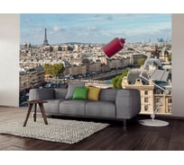 Фотообои DIVINO Вид на Париж 300x270 см C-057
