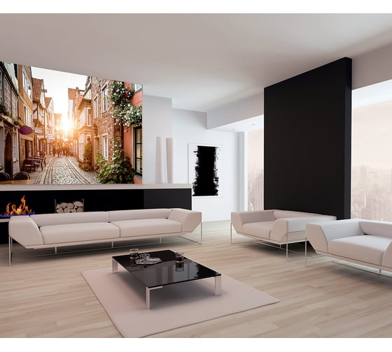 Фотообои DIVINO Германия 300x270 см C-058