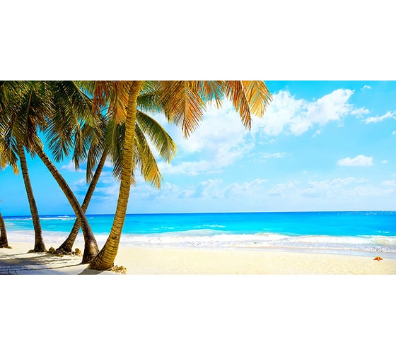 Фотообои DIVINO Тропический пляж 300x147 см C-007