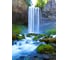 Фотообои DIVINO Водопад над речкой 200x270 см C-015 2