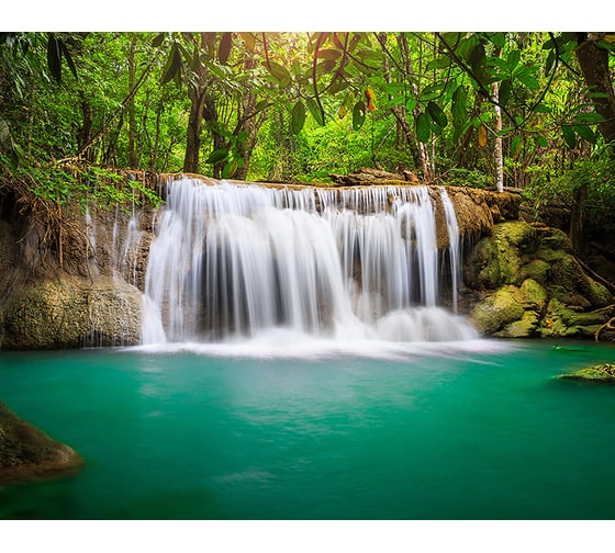 Фотообои DIVINO Лесной водопад 300x238 см C-017