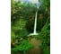 Фотообои DIVINO Тропический водопад 200x270 см C-018 2