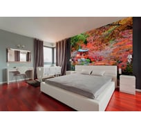 Фотообои DIVINO Парк в Японии 300x270 см C-117