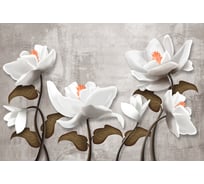 Фотообои DIVINO Крупные белые цветы 400x270 см Z-330