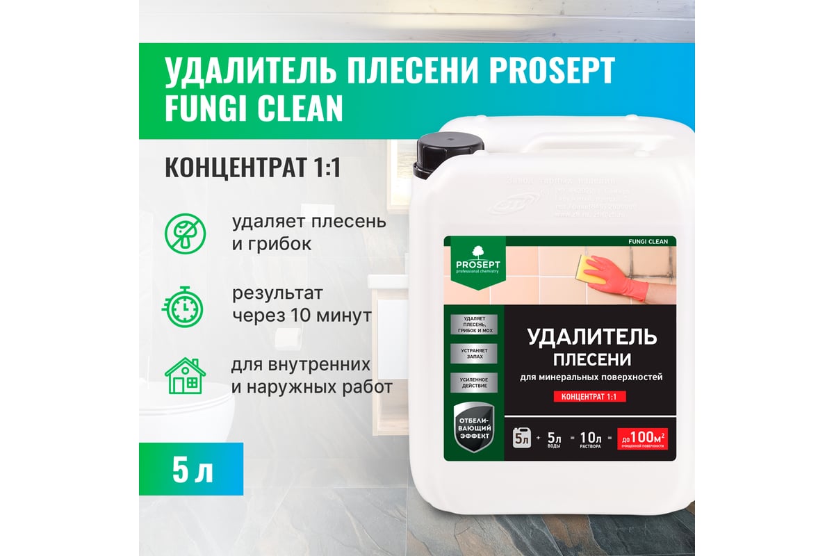 Удалитель плесени с минеральных поверхностей PROSEPT FUNGI CLEAN 5л 019-5 -  выгодная цена, отзывы, характеристики, фото - купить в Москве и РФ