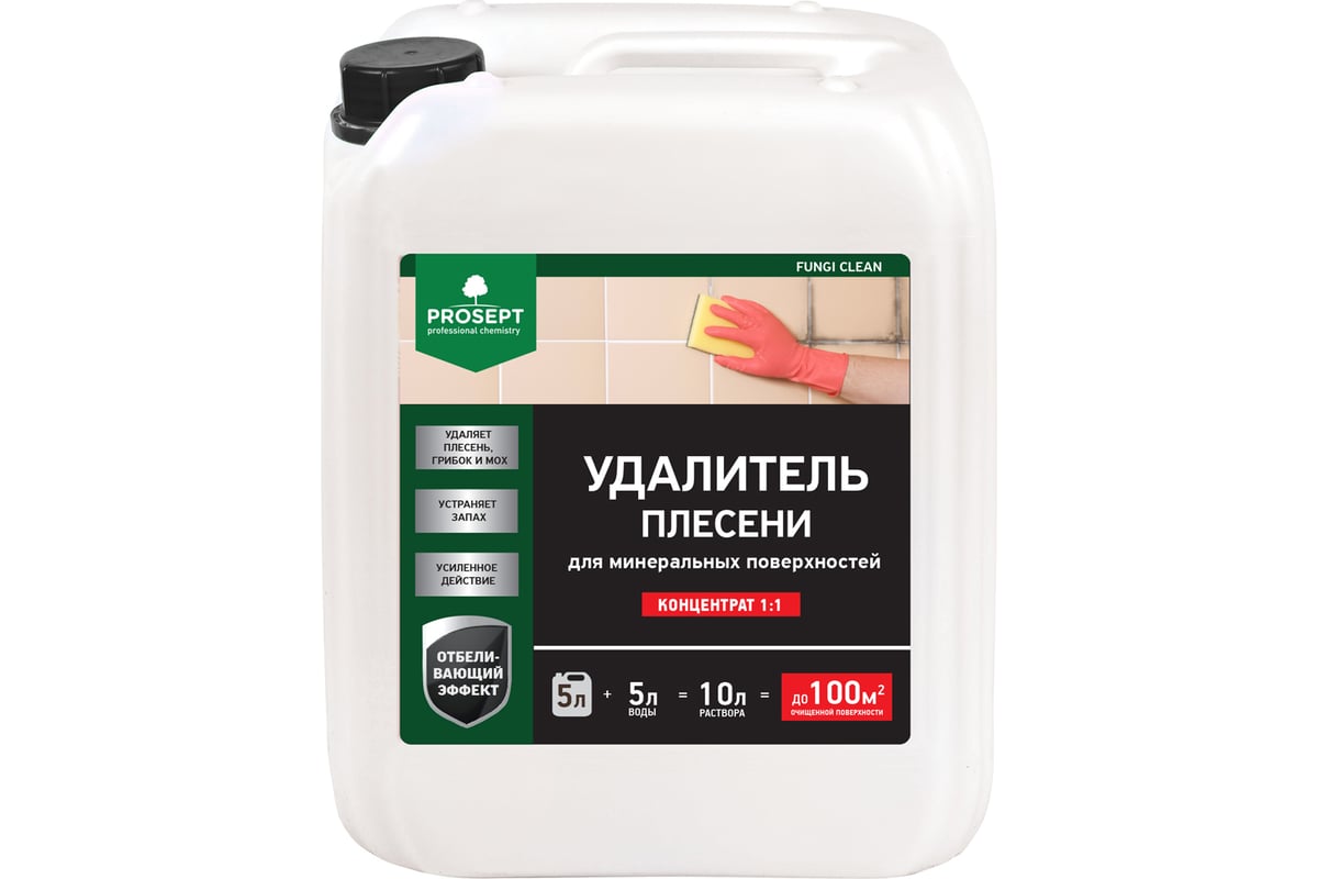 Удалитель плесени с минеральных поверхностей PROSEPT FUNGI CLEAN 5л 019-5